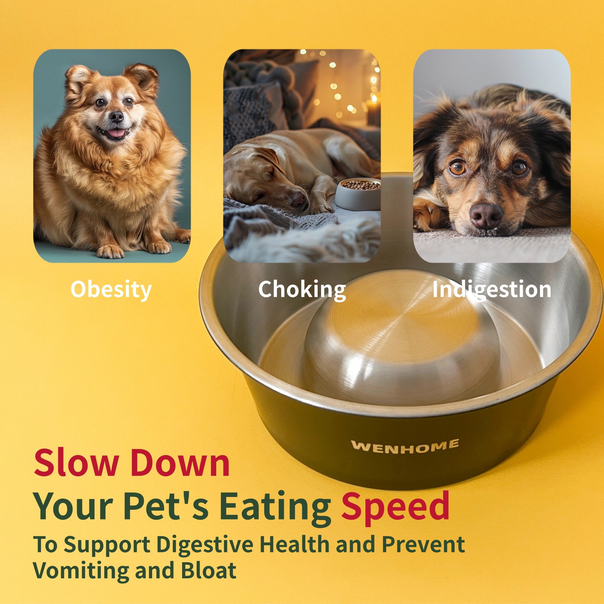 Dog slow food bowl best sale